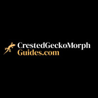 Crested Gecko Morph Guides