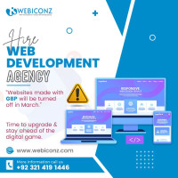 Ecommerce Website Design & Development Package - Basic