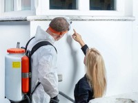 Local Mold Remediation Company Gloucester MA | RESTORATION 1 OF EVERETT