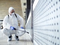 Sanitize Home Services Gloucester MA | RESTORATION 1 OF EVERETT