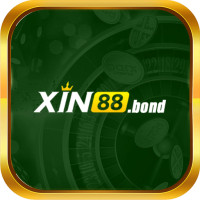 xin88bond