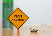 Pest Control Ferntree Gully