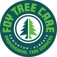 Foy Tree Care