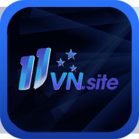 11vnsite