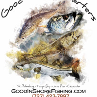 Good Inshore Charters