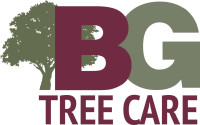 BG Tree Care