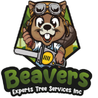 Beavers Experts Tree Services Inc.