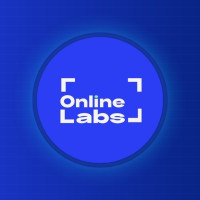 Online Labs
