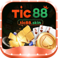 tic88skin