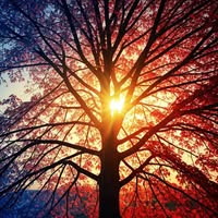 Fostering Growth and Cooperation