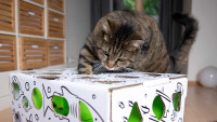 Cat Amazing Puzzle Feeder
