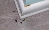 Hilbun Pest Control