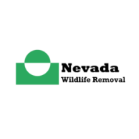Nevada Wildlife Removal