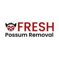 Fresh Possum Removal Melbourne