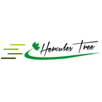 Massillon tree service