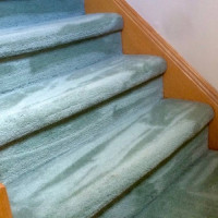Bruno's Carpet Cleaning Professionals