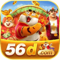56D – Plataforma de apostas de alto nível