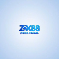 ZX88