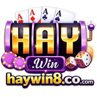 haywin8cocom