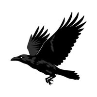 Raven Injury Law, P.C.