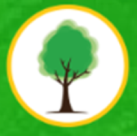 Nottingham Tree Surgeons