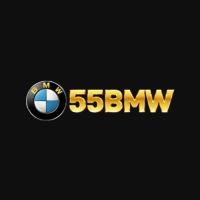 55bmw