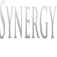 Synergy Limousine