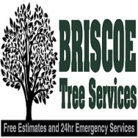 Briscoe Tree Service