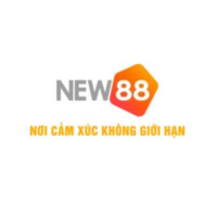 NEW88 nhà cái