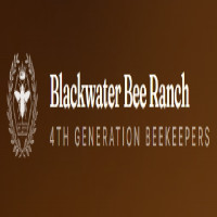 BLACKWATER BEE