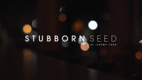 Stubborn Seed - Miami Beach