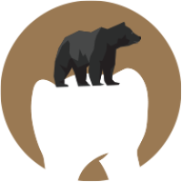 Black Bear Dental