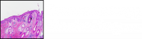 Dermatology Marketing