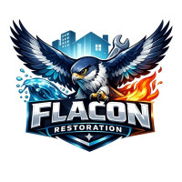 Falcon Restoration