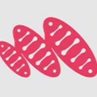 Metaphase Marketing