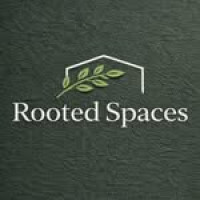 Rooted Space Plants