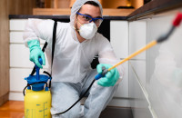 Lou Termite Experts