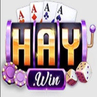 haywin