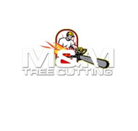 Discount Tree Cutting And Removal
