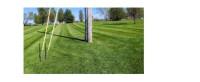 T & C Lawncare