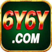 6y6y