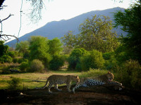 Perfect Kenya Tour and Holiday Packages at Best Prices