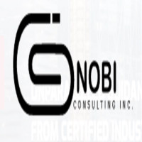 Gnobi Consulting Inc.