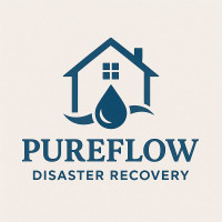 Pureflow Disaster Recovery