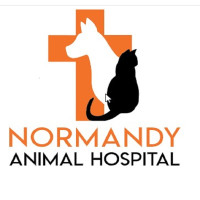 Normandy Animal Hospital