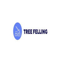 TreeFellingPretoria
