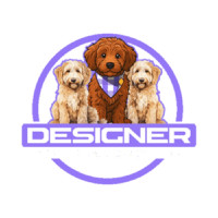 Designer Golden Doodle Puppies