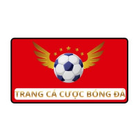 Top 10 Trang Cá Cược Bóng Đá Uy Tín Nhất Việt Nam 2026