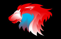 ROUDE LÉIWEN FUSSBALLSCHOUL a.s.b.l.