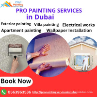 Villa Painting expert